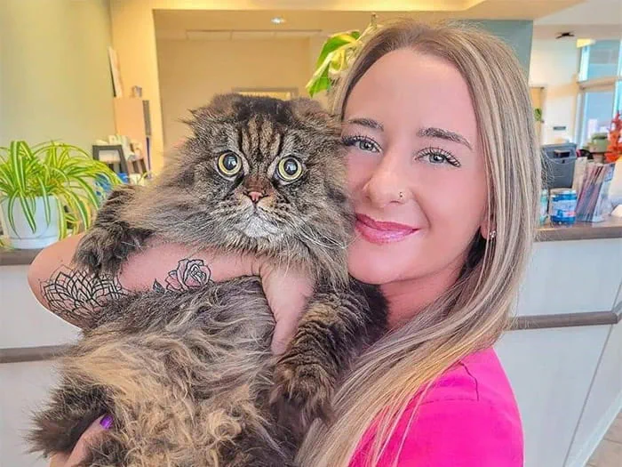 VCA Alderwood Companion Animal Hospital | Staff Page