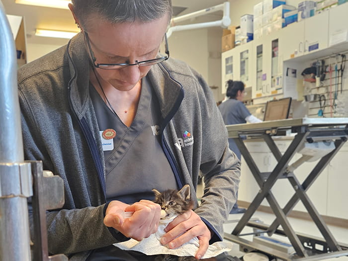 Eileen Monroe Staff Photo