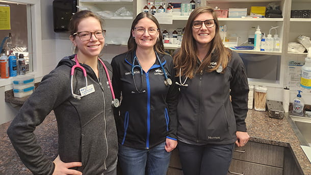 Veterinarian team at VCA Peone Pines Animal Hospital