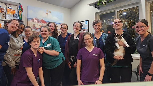 VCA Peone Pines Team