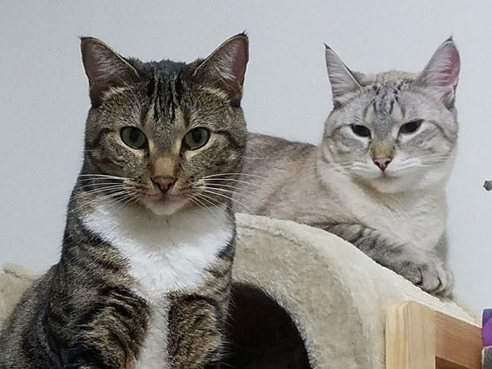 Caitlin C. Staff Photo