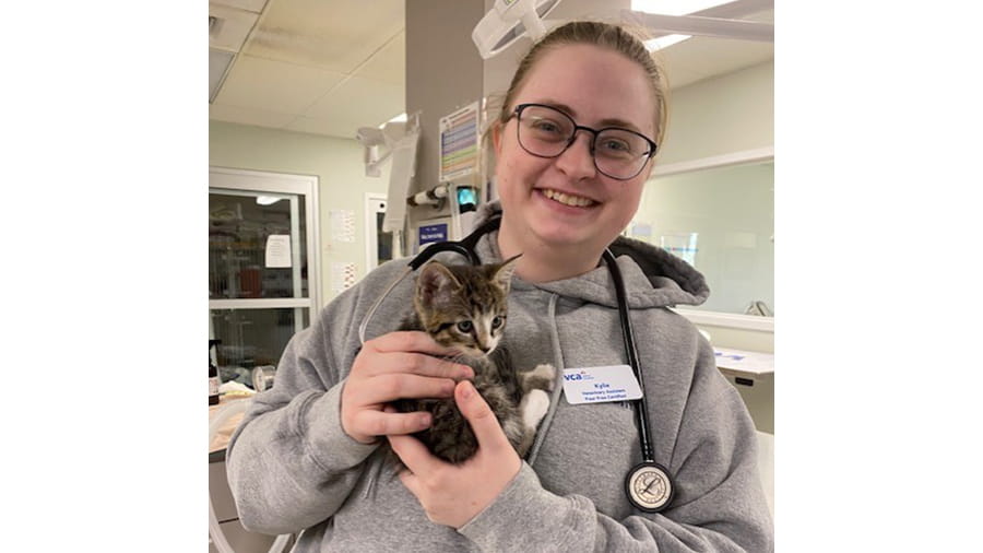 Woman holding a kitten