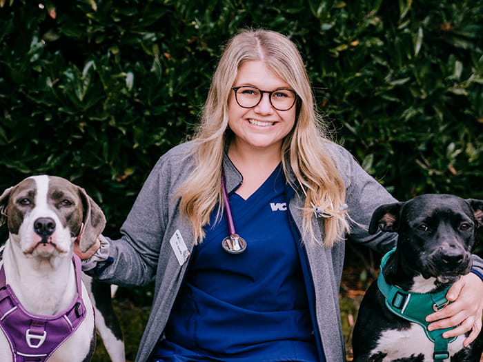 Dr. Lauren Apicella Staff Photo