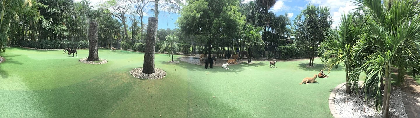 /-/media/2/vca/images/kennel-sites/barkers-hotel/1440x405_simmonsfl_petboardingrev.jpg?rev=e8f374e6844c49999c186c84ab1a9818