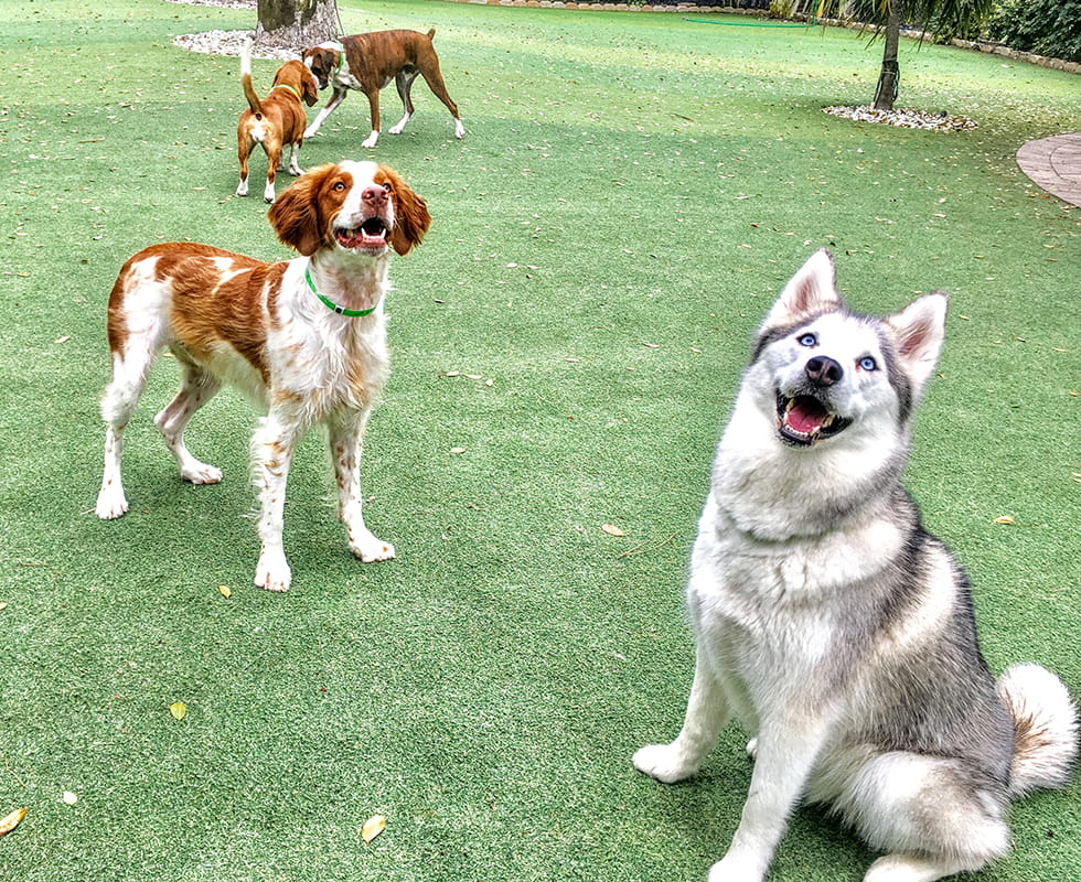 Barkers Hotel Homepage 50-50-1