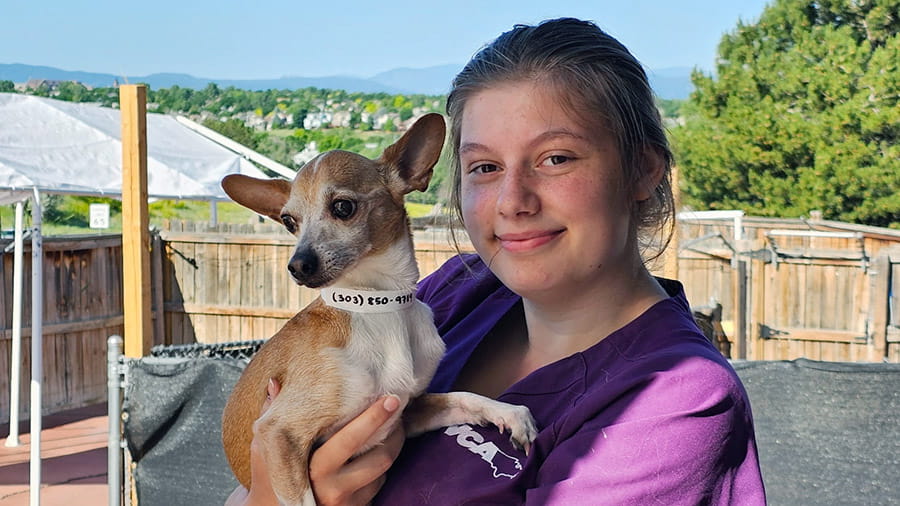 Associate Holding Small Dog at VCA Mountainview Pet Lodge