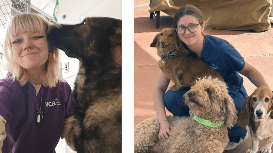 Collage of Associate Getting Kiss from Large Dog and Associate with 3 Dogs at VCA Mountainview Pet Lodge