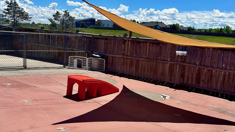 VCA Mountainview Pet Lodge Outdoor Play Yard for Dogs