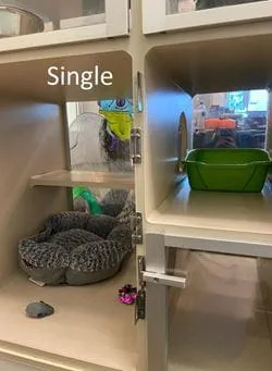 Cat Condos - Single