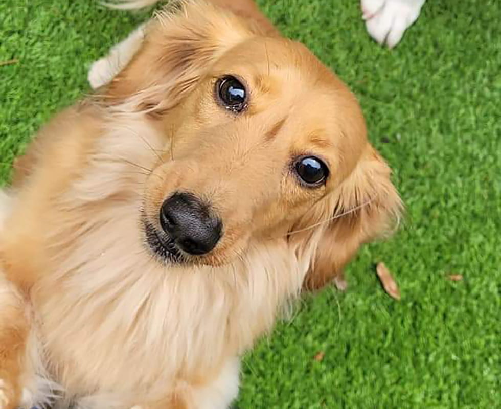 Day Care 50-50 Seaside Resort