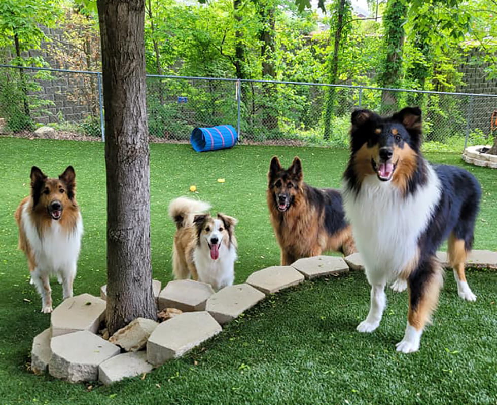 Stoney Creek Resort Day Care 50-50