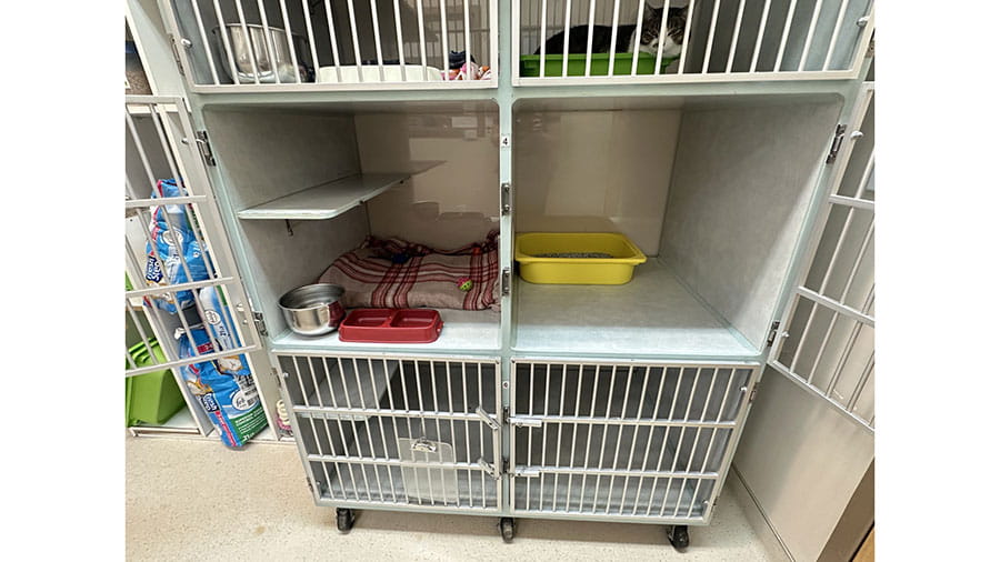 VCA Timpanogos Animal Hospital Resort Cat Condo