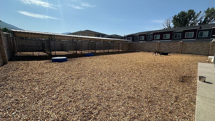 VCA Timpanogos Animal Hospital Resort Outdoor Play Yard
