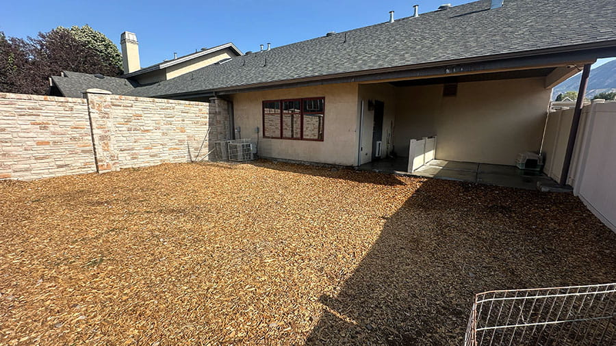 VCA Timpanogos Animal Hospital Resort Play Yard