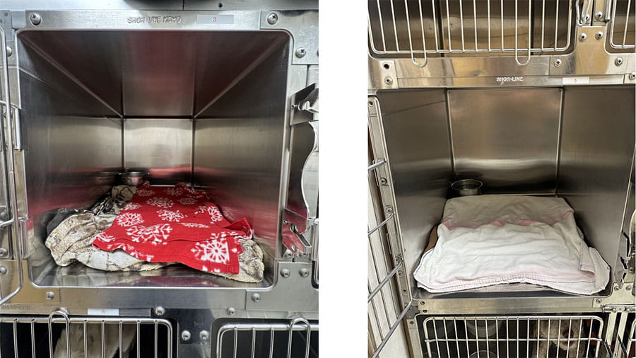 VCA Timpanogos Animal Hospital Resort X-Small and Small Dog Kennels