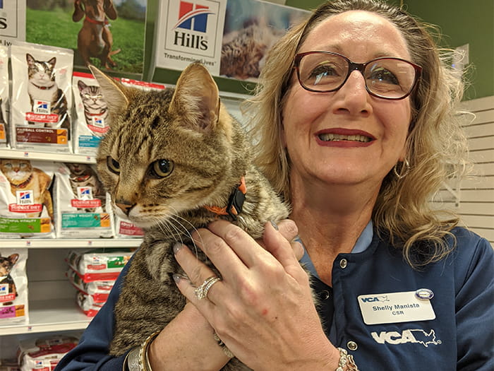 700x525 woodford boarding ShellyManista