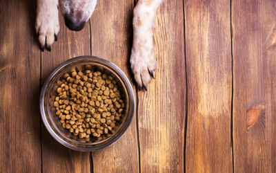 how do i stop my big dog from eating my little dog food