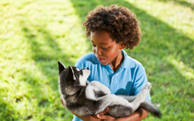 Human-Canine Communication: Tone vs. Volume | VCA Animal Hospitals