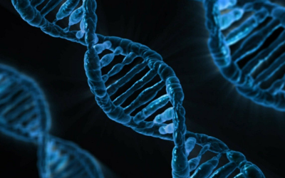 Genetics Basics - Understanding DNA | VCA Animal Hospital
