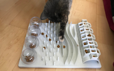Feeding the Mind and Body: Interactive Feeders for Dogs and Cats