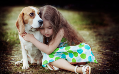 Do Pets Have a Sixth Sense? | VCA Animal Hospitals