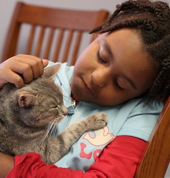children_and_pets_cat