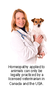 veterinary_homeopathy-3