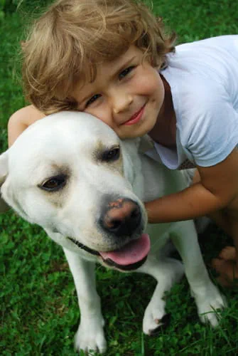 dog---child-with-yellow-lab