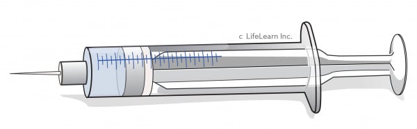 syringe_vaccine_2018_db-01