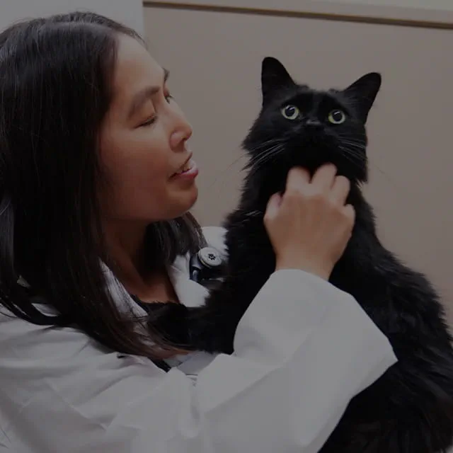 VCA McKenzie Animal Hospital photo 9