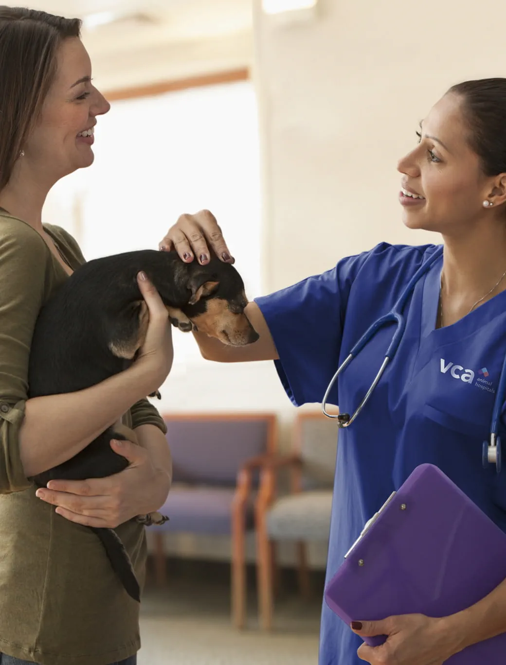 Algiers Animal Clinic