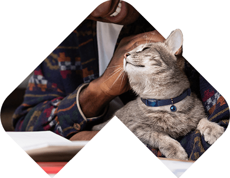 caret cutout 466x360