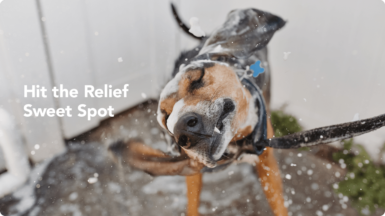 story article 1 1280x720