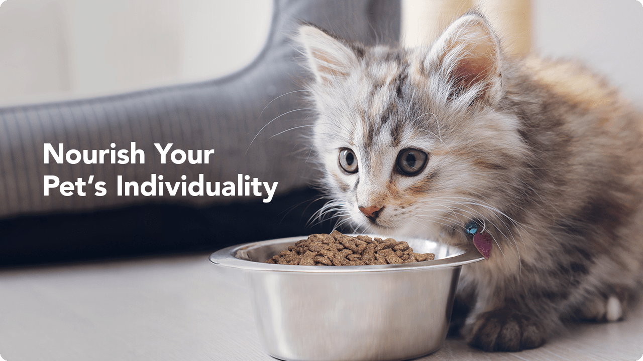 story article 2 1280x720