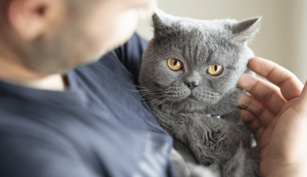 Man holding a gray cat