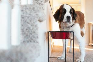 Keep your senior mobile with these osteoarthritis treatments