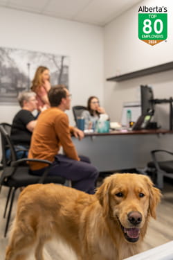 VCA Canada Named one of Alberta's Top Employers 2024
