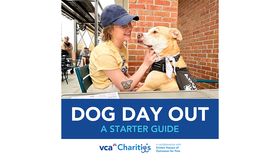 Woman smiling with shelter dog for VCA Charities Dog Day Out