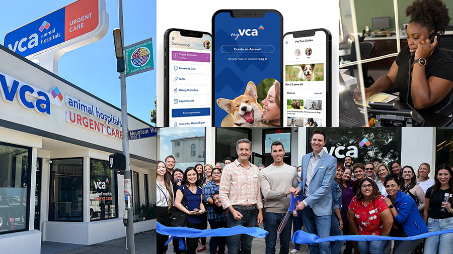 VCA Animal Hospitals Identifies Technology Trends Driving Innovation in Veterinary Medicine