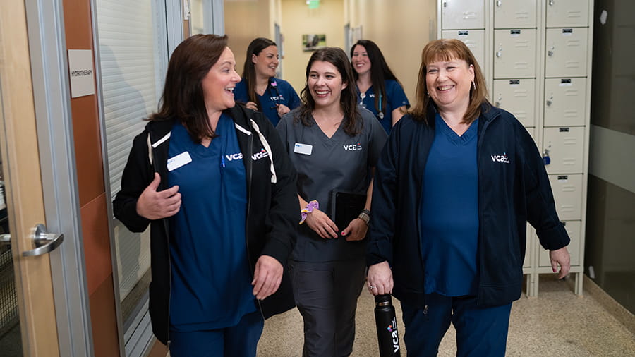 VCA Animal Hospitals Associates share a meaningful moment, reflecting on the supportive workplace culture that earned VCA a spot on Newsweek’s 2025 list of America’s Greatest Workplaces for Mental Well-being