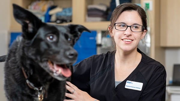Urgent Care veterinary support staff with black dog