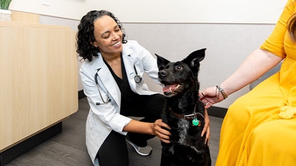 Urgent Care veterinarian with black dog
