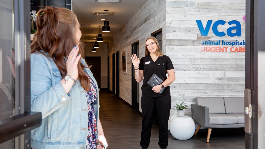 Veterinary support staff waving to client at the door
