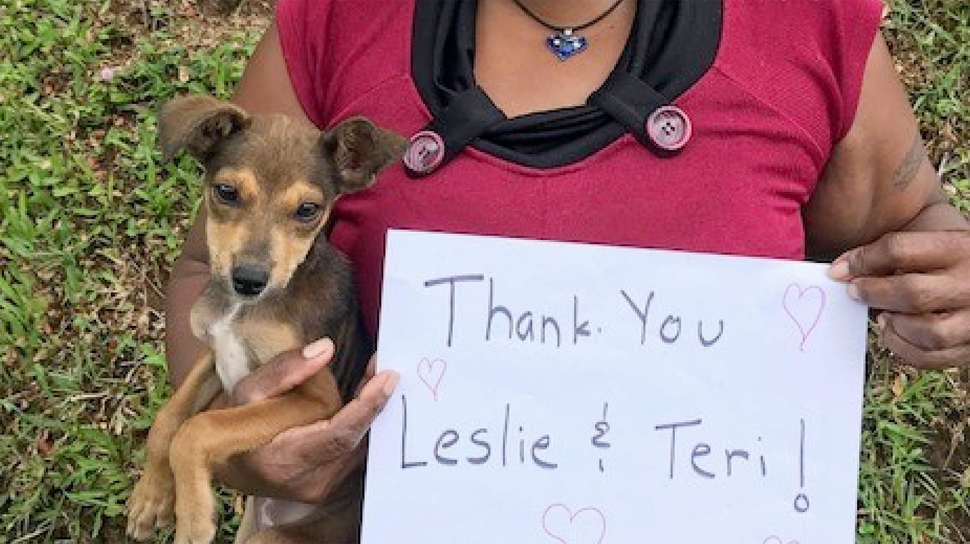 Thank you sign with puppy
