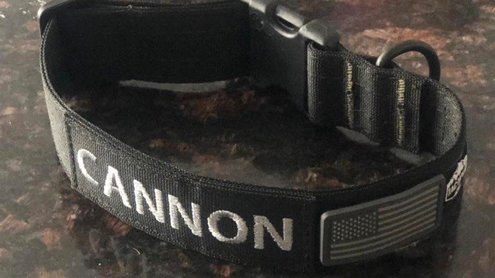 Cannon the K-9's Collar