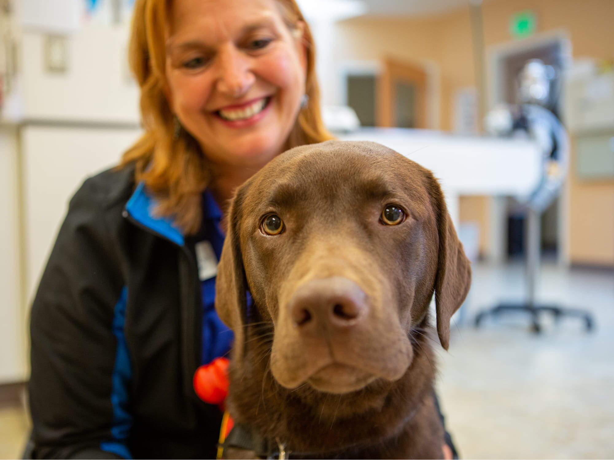 True Love Means Letting Them Go Training Puppies in Service of Others