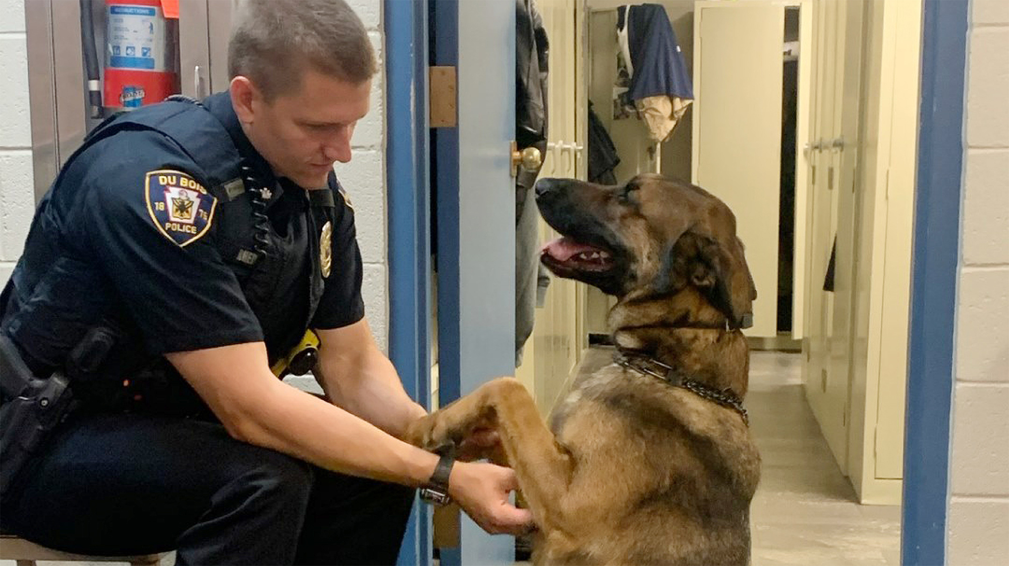 Ace the dog with Police Handler