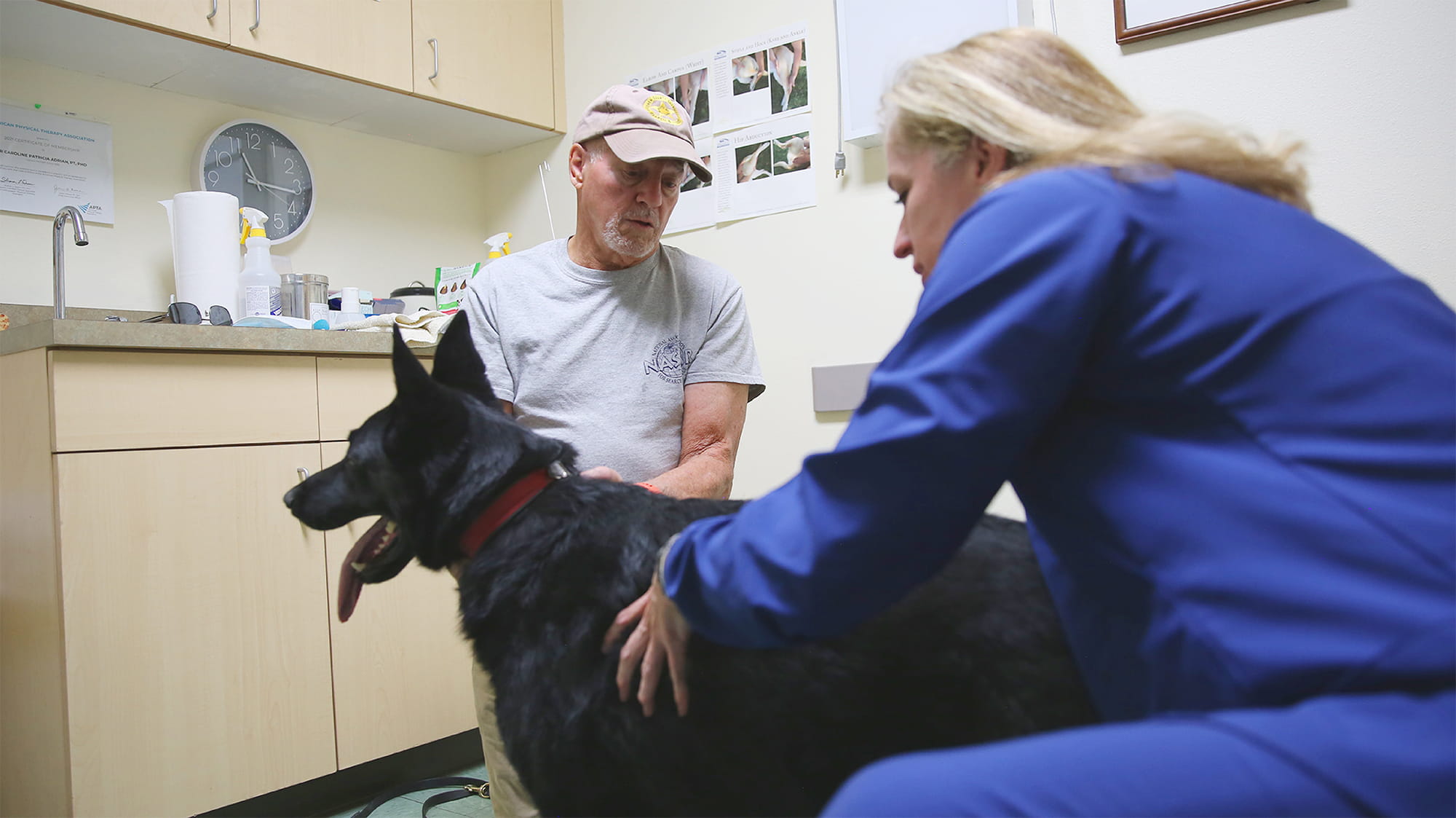 Pax the dog with VCA staff member and handler