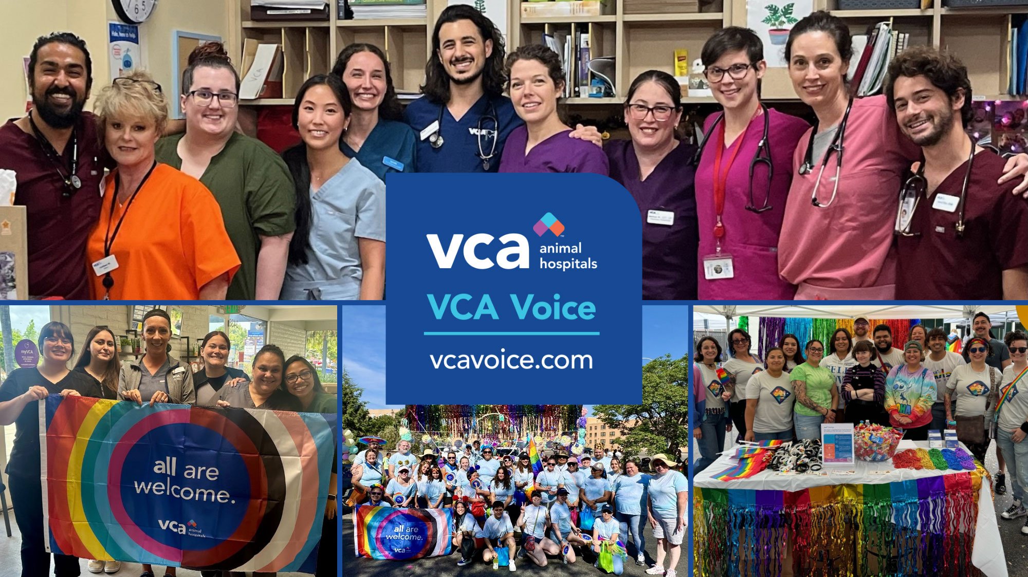 collage of images of VCA Associates celebrating pride month