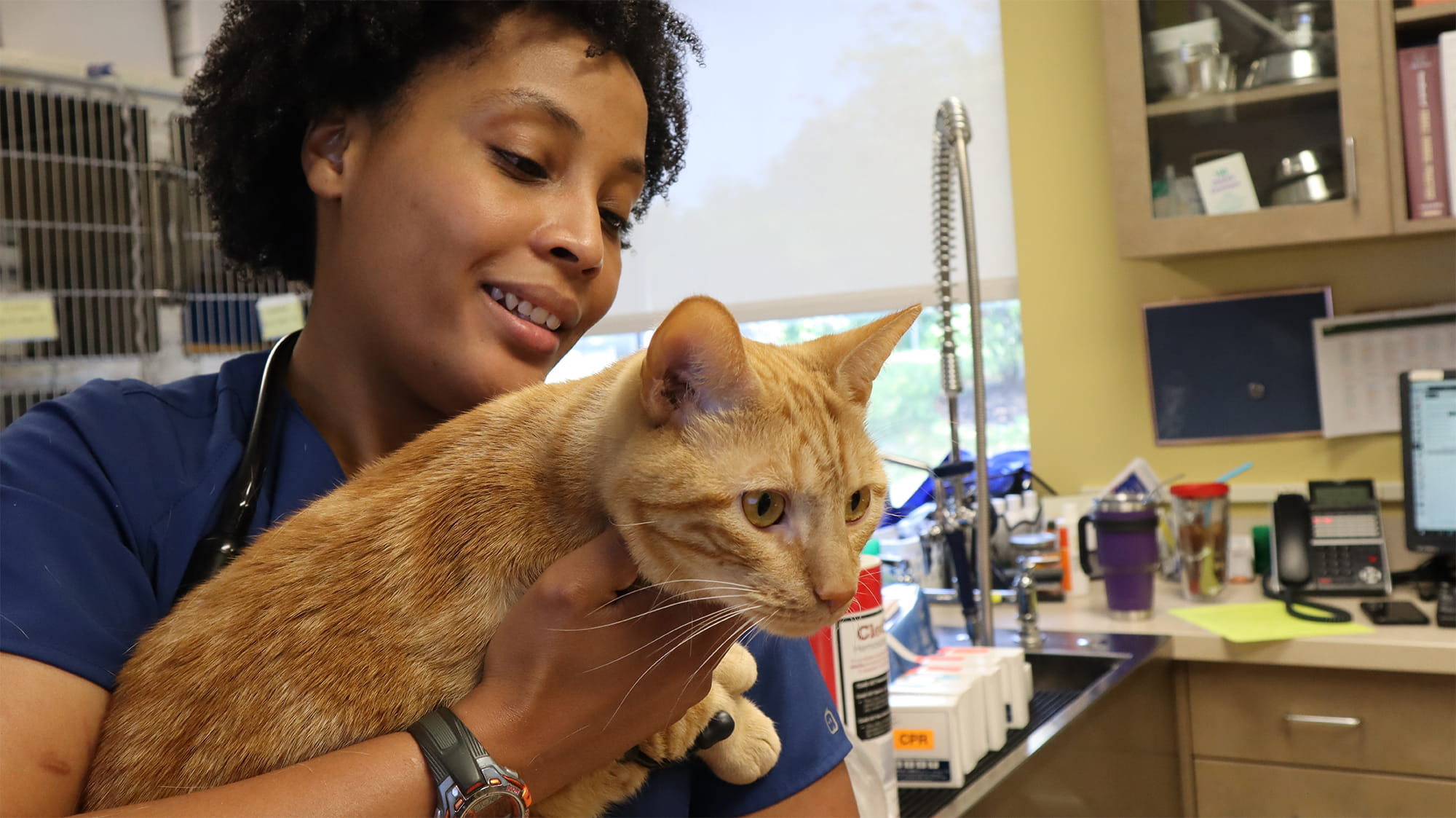 Woman holding orange tabby